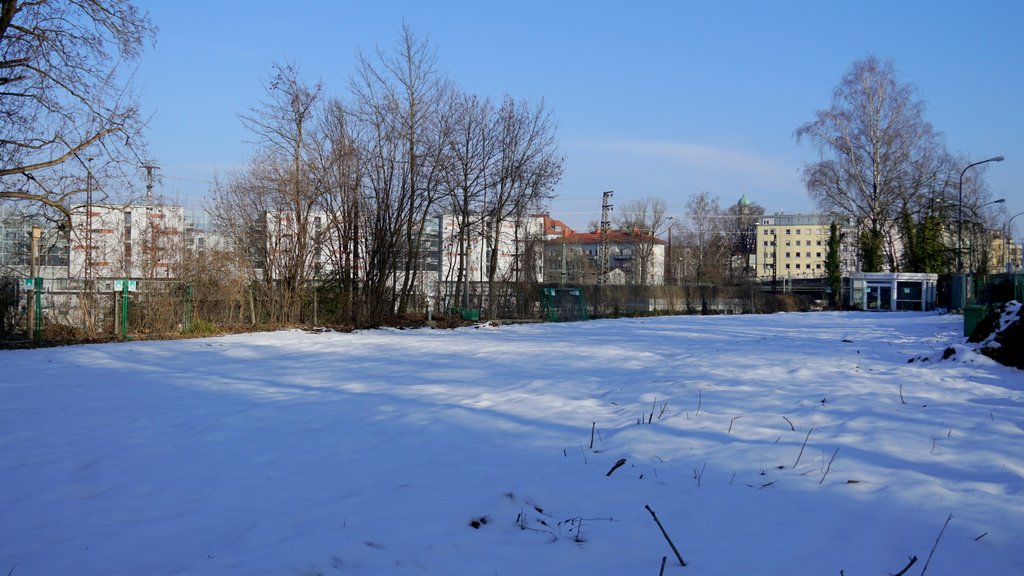 Wittelsb-Radau-2026-02